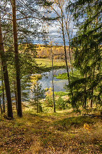 俄罗斯在阳光明媚的秋天从陡峭河岸穿过阴险的树林绿色针叶图片