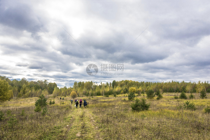 团体绿色一小群游客在秋天沿田野路行走俄罗斯秋天沿着图片