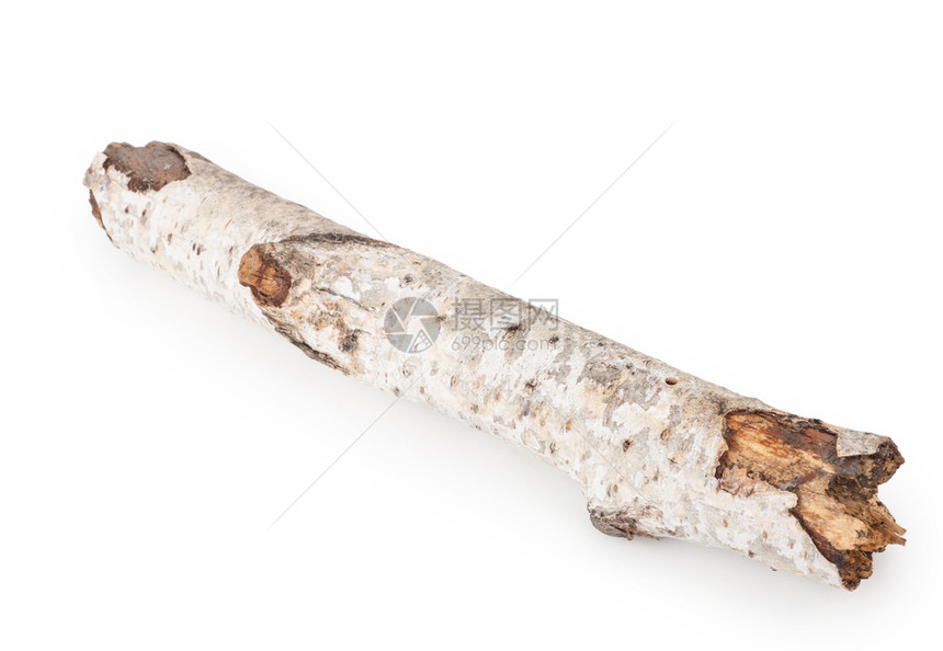 木制的Birch树枝分支破裂戳图片