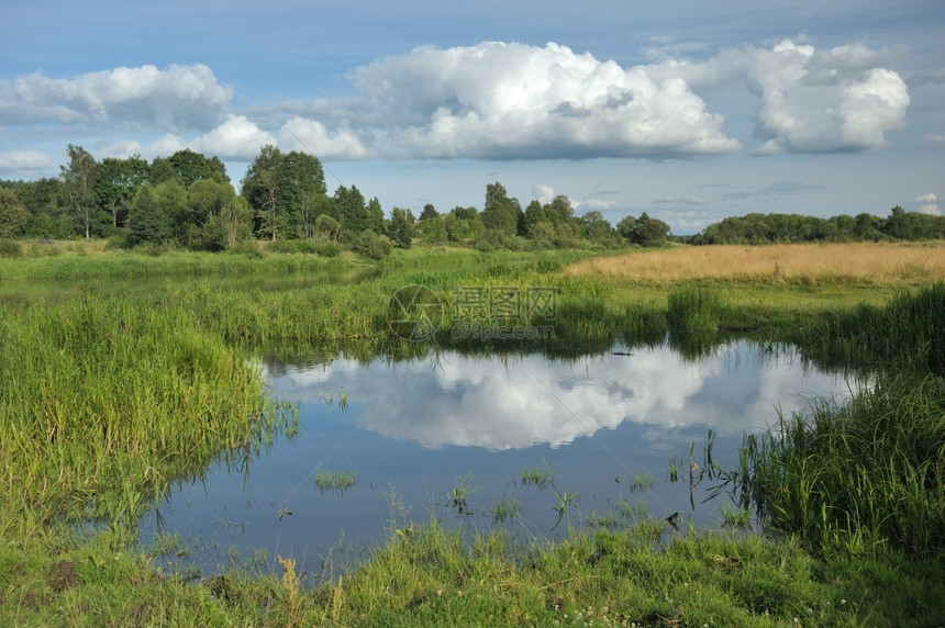 水池流在草地上水中云的反射白俄罗斯溪流图片