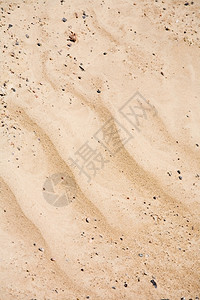 垂直的干旱海滩由风形成波沙图片