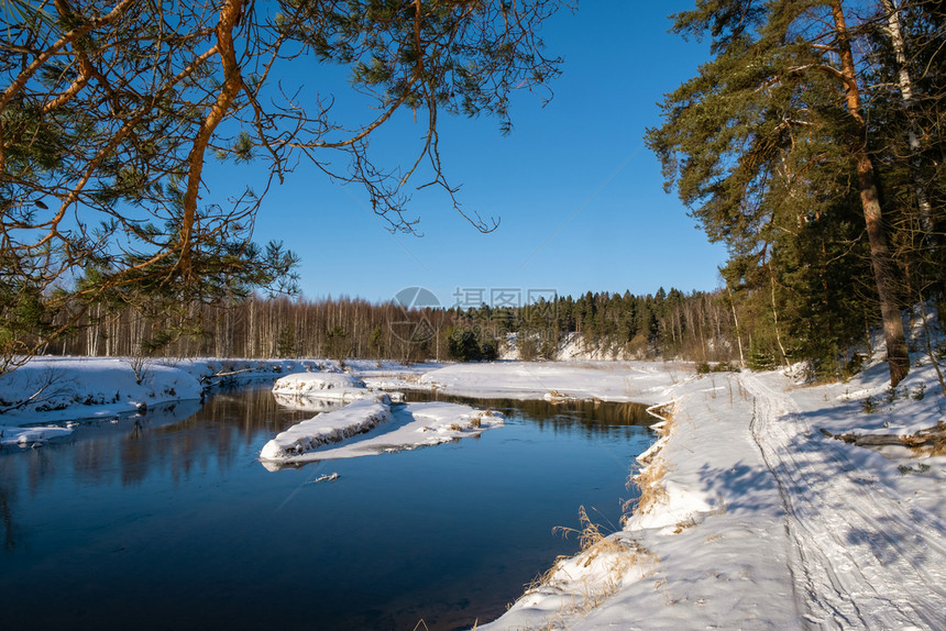 白色的风景与一条小河在寒冬阳光明媚的天气和一片无云的蓝色天空中晴下雪的图片