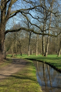 牧歌在森林中一条小道和溪宁静平的图片