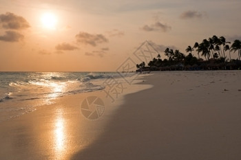 加勒比语自然阿鲁巴岛的曼切博海滩加勒比日落时暮图片