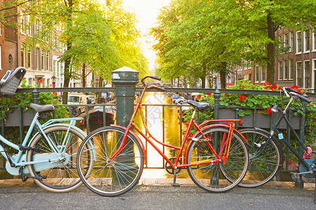 阿姆斯特丹的秋日美景背景图片