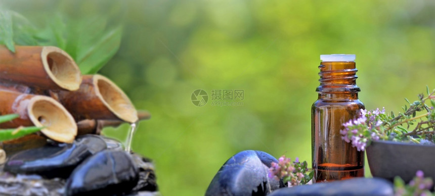 植物芳香疗法草本绿色背景的石块中基本油和竹叶喷泉之瓶图片