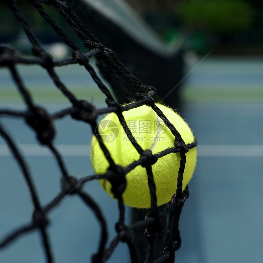 颜色网球中的异国黄色网球运动拍图片