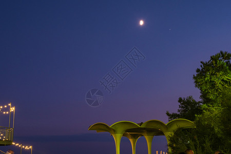 发光的晚上从雅尔塔堤岸到蓝色夜空中亮月克里米亚树图片