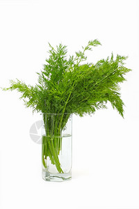 自然叶子调味料在一个水玻璃杯中将白色的新鲜丁草药隔离在白上图片