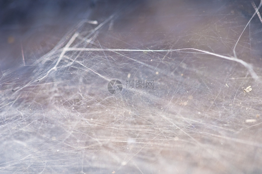 白色的陷阱雅各布斯关闭一个浅dof的蜘蛛网图片