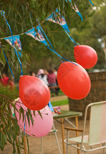 树红色的庆祝生日气球在户外活动公园作为后院聚会图片