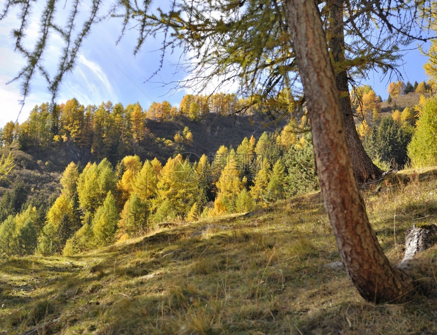 秋色宜人的阿尔卑斯山脉的景色图片