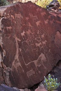 沙漠在纳米比亚达马拉兰Twyfelfontain的古老灌木人雕刻Petroglyphes岩画布须曼人图片