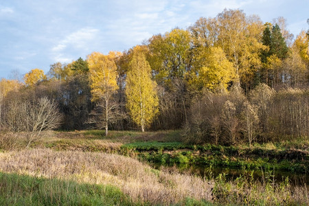 天空树木干燥俄罗斯秋天风景河水小岸厚高和干草茂密俄罗斯图片