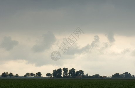 暴风雨在荷兰泽的田鼠上酝酿云层笼罩着乌天气西兰黑暗的图片