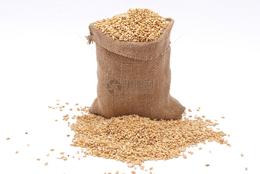 庄稼粮食袋和小麦的谷玉米图片