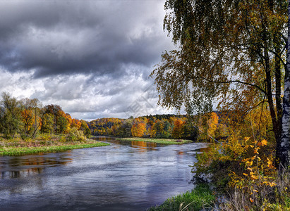 河流全景和多彩树林图片