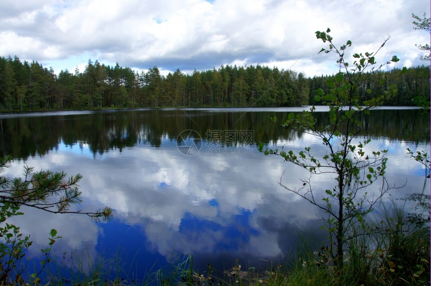 景观云水蓝天背下的湖泊和树木图片