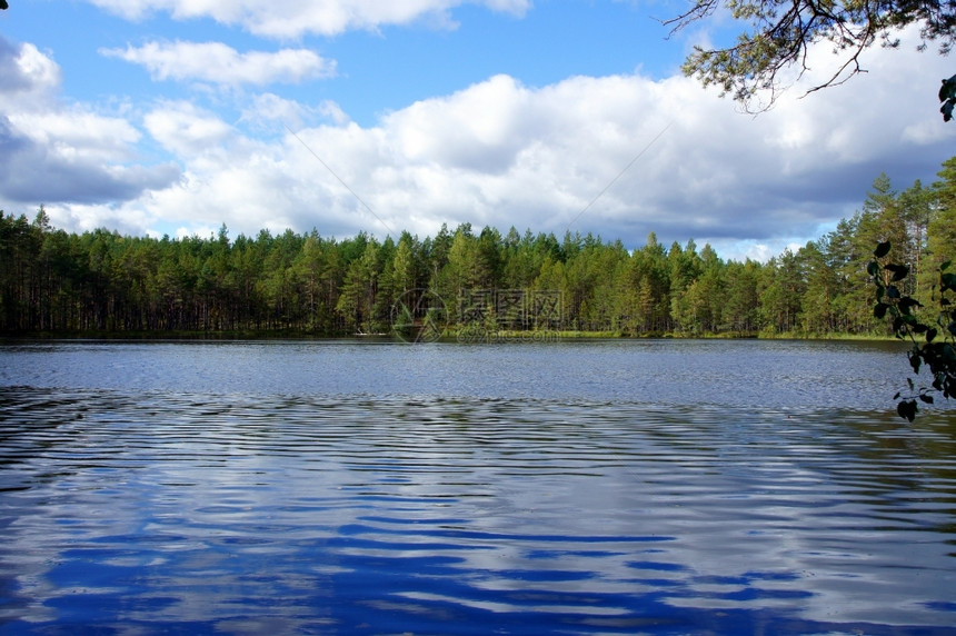自然绿色反射蓝天背景下的湖泊和树木图片