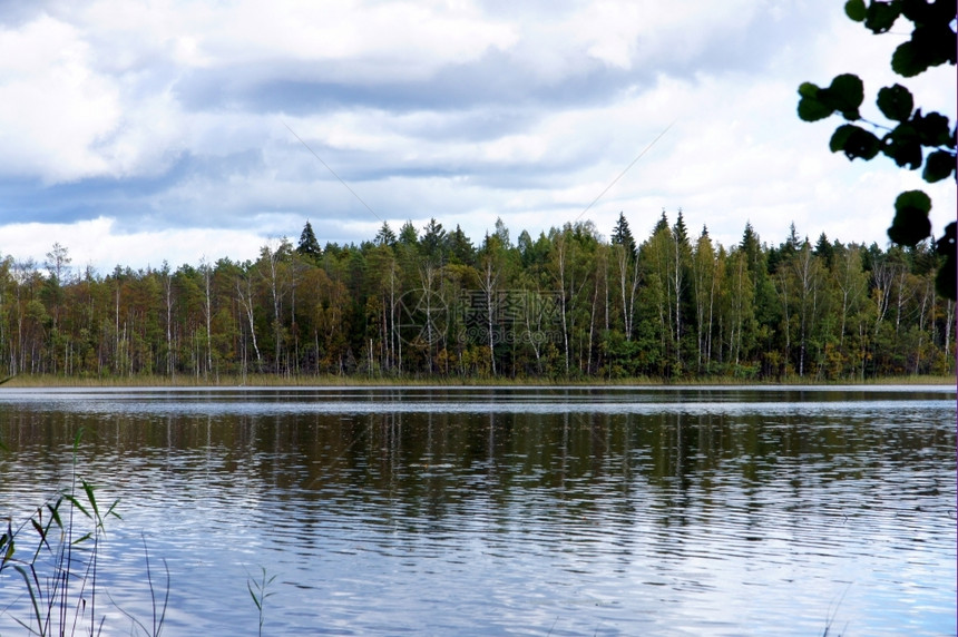 绿色蓝天背景下的湖泊和树木田园诗般的一种图片