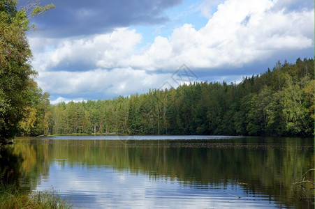 水蓝天背景下的湖泊和树木云田园诗般的背景图片