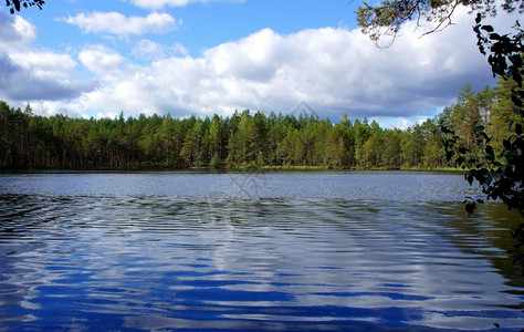 景观反射森林蓝天背景下的湖泊和树木图片