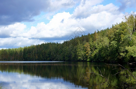 蓝天背景下的湖泊和树木云景观自然图片