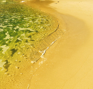 南非开普敦海滩岸南非开普顿自然质地冷静的图片