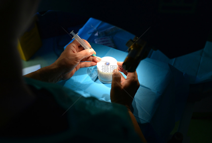 眼睛角膜外科手术激光医生在猪眼上练习学生细节图片