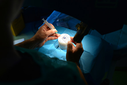 眼睛角膜外科手术激光医生在猪眼上练习学生细节图片