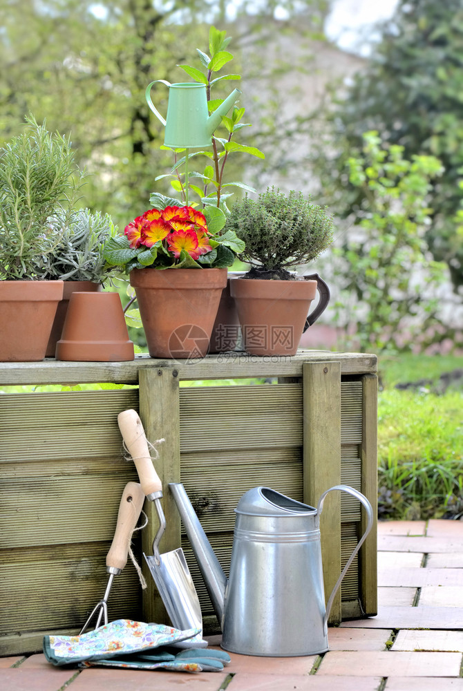 木制的草药花朵园艺工具卉和香味植物放在花园的木箱上图片