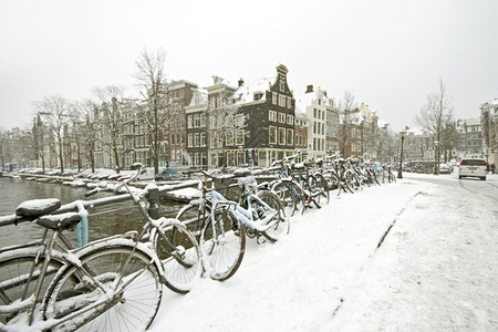 阿姆斯特丹的美丽雪景图片