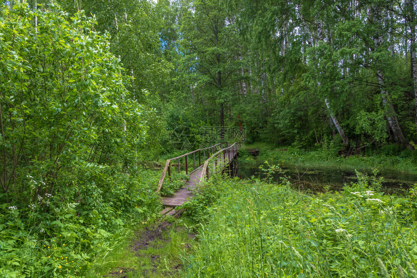 卡德斯基抹大拉俄罗科托马地区Kadyysky区通往MaryMagdalene圣泉的Wooden桥领导图片