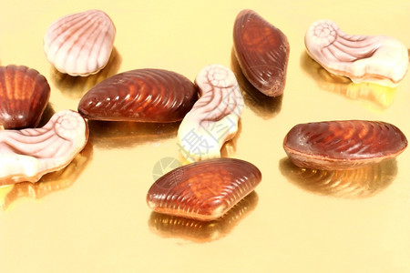 贝类可口甜巧克力糖果形式为海洋贝壳鱼在金子上分离黑暗的图片