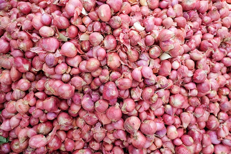 大蒜红洋葱在新鲜市场中多得紫色的红图片