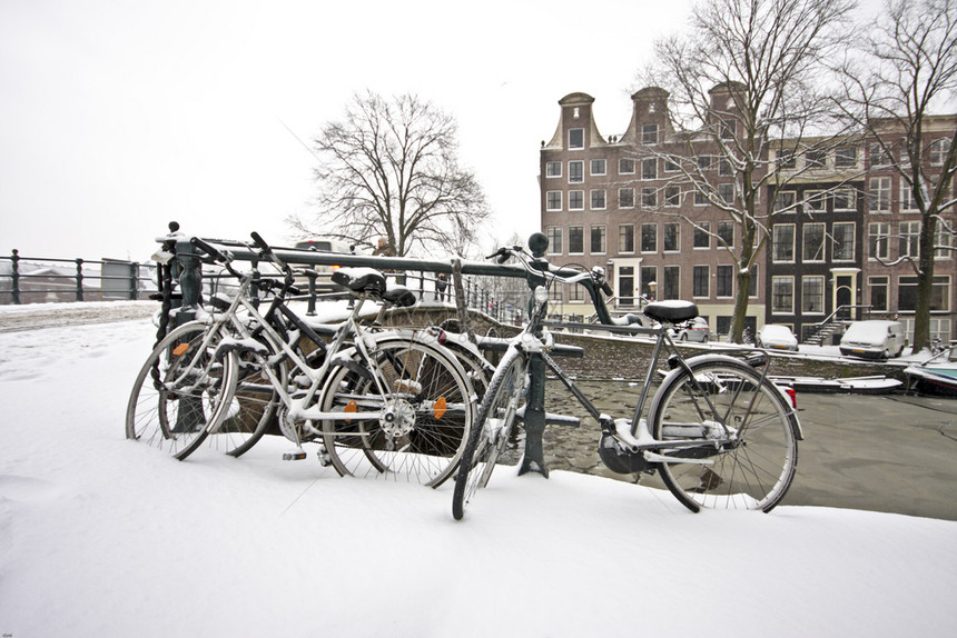 运输荷兰语街道冬季寒的Snowy阿姆斯特丹图片