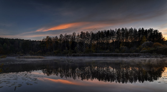 多雾路段树红色的清晨在立陶宛维尔纽斯附近宁静的湖上美日出图片