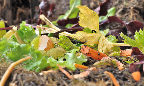花园废料剥关闭蔬菜皮和其他食用垃圾容器中的食用废物可生降解回收背景