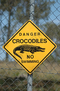 河澳大利亚昆士兰州的鳄鱼正方形安全高清图片