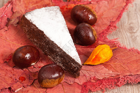 巧克力片秋天卡路里季美味的栗子蛋糕片棕色的背景