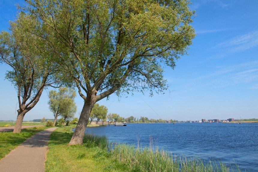 树木户外位于Haarlem的荷兰陆地景观河仰望Spaarndam村维林克图片