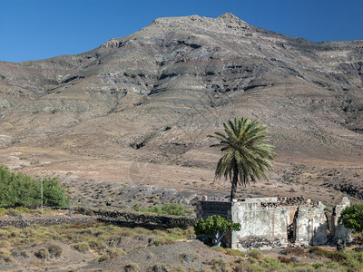 热带山峰和植被图片