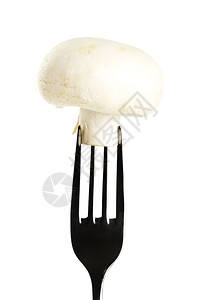 盘子菌类亨利标志斯托克白蘑菇在背景上隔绝的叉子一白蘑菇图片
