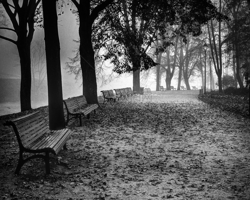 秋天怀旧伯纳丁花园维尔尼亚河纽斯立陶宛清晨薄雾早期的十月怀旧之情图片