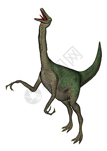 绿色恐龙背景鸡Gallimimimus恐龙在白色背景下咆哮三维转化鸵鸟设计图片