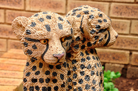 哺乳动物一种婴儿豹花园里的雕像脸图片