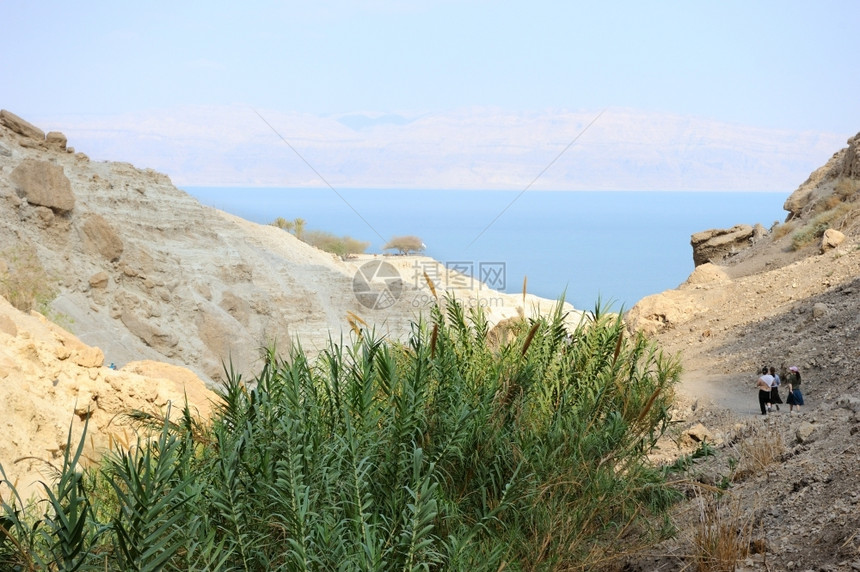 死海沿岸的EinGedi自然保护区悬崖瀑布死的图片