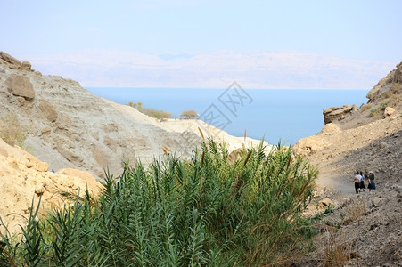 死海沿岸的EinGedi自然保护区悬崖瀑布死的图片
