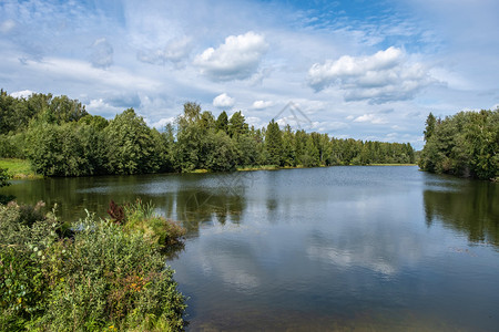 在阳光明媚的夏日一个小湖被大片绿树和灌木林所包围美丽的绿色晴天图片