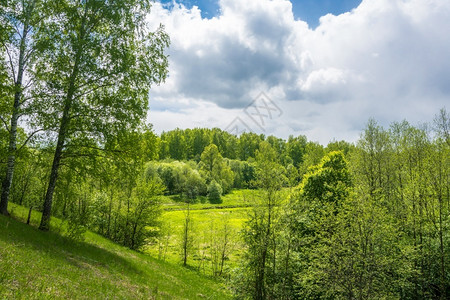 在俄罗斯中部的春日美丽风景中俄国部夏天央草地图片